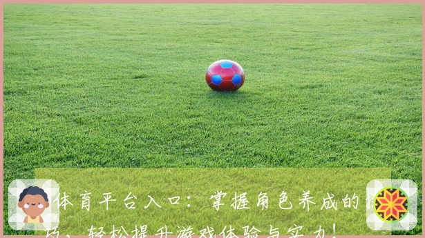 b体育平台入口：掌握角色养成的技巧，轻松提升游戏体验与实力！