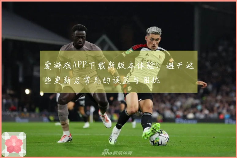 爱游戏APP下载新版本体验：避开这些更新后常见的误区与困扰