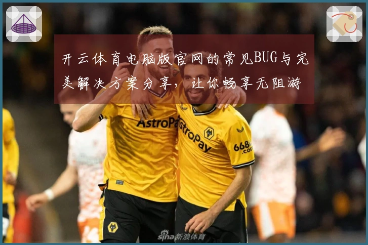 开云体育电脑版官网的常见BUG与完美解决方案分享，让你畅享无阻游戏体验
